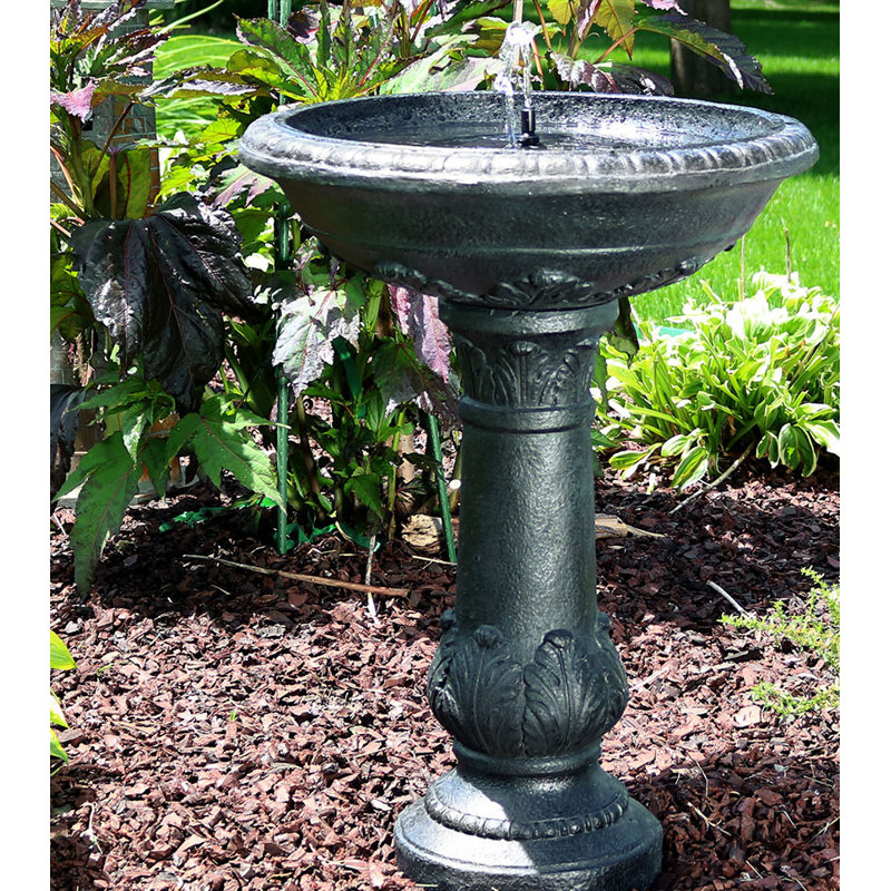 Maidenhead Fiberglass Solar Bird Bath Water Fountain & Reviews Birch Lane